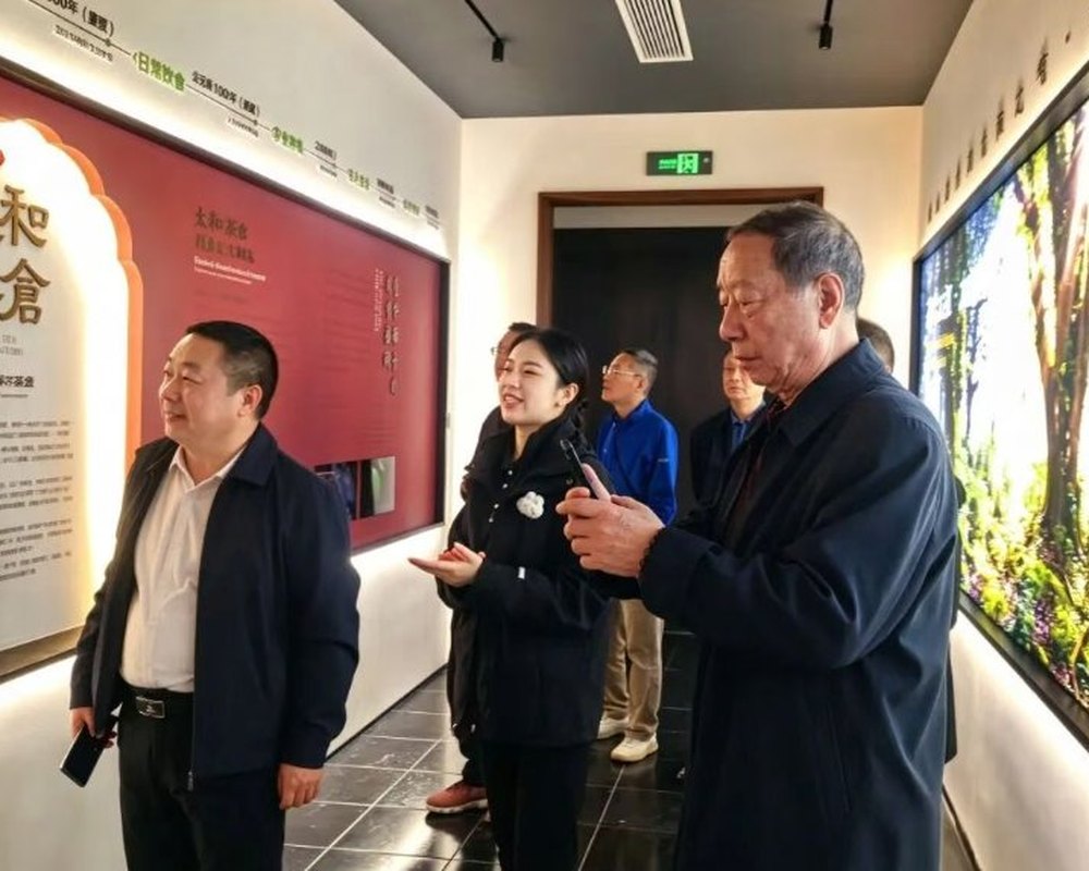 老干部们参观太和茶仓茶文化展陈